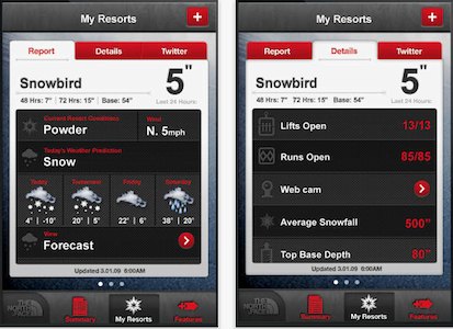 Snefald på skidestinationer